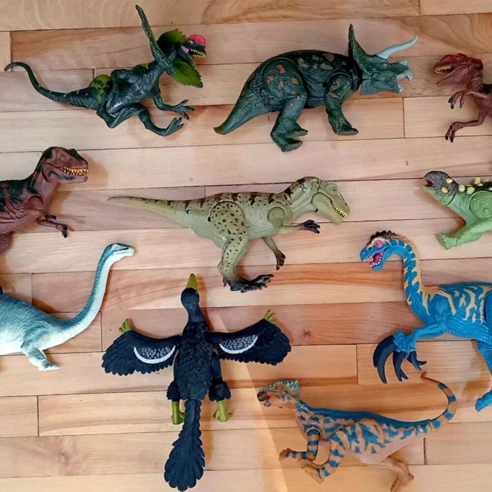Dinosaure package !